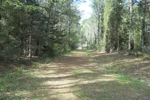 627 Cr 3373, San Augustine, TX 75972 - Photo 9