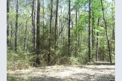 627 Cr 3373, San Augustine, TX 75972 - Photo 7