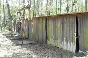 627 Cr 3373, San Augustine, TX 75972 - Photo 29