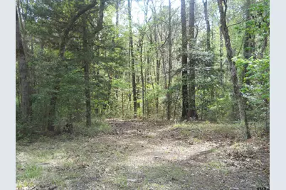 627 Cr 3373, San Augustine, TX 75972 - Photo 5