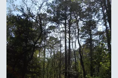 627 Cr 3373, San Augustine, TX 75972 - Photo 9