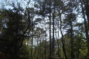 627 Cr 3373, San Augustine, TX 75972 - Photo 9