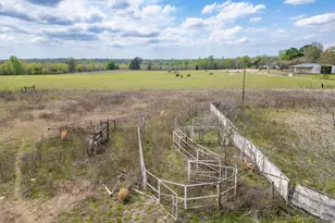 4668 Fm 2088, Winnsboro, TX 75494 - Photo 17