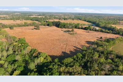 7335 Cr 4710, LaRue, TX 75770 - Photo 23