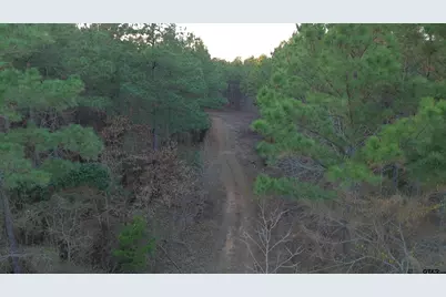 000 Fm 314, Chandler, TX 75758 - Photo 27