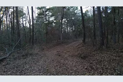 000 Fm 314, Chandler, TX 75758 - Photo 23