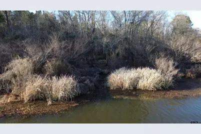 000 Fm 314, Chandler, TX 75758 - Photo 5