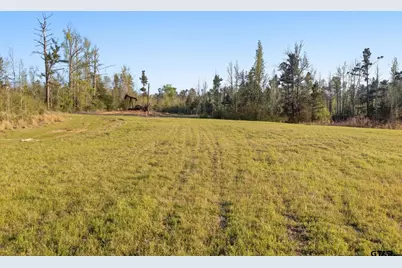 1431 Cr 4146, Overton, TX 75684 - Photo 29