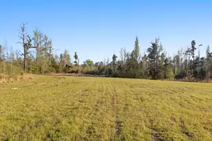 1431 Co Rd 4146, Overton, TX 75684 - Photo 29