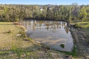 1431 Co Rd 4146, Overton, TX 75684 - Photo 25