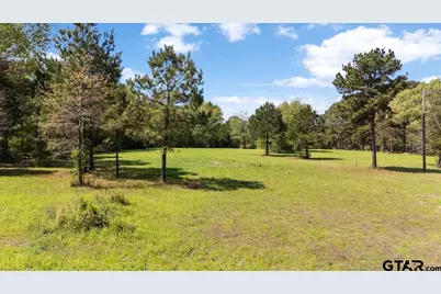 1219 Finklea Road, Hallsville, TX 75650 - Photo 43