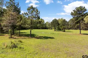 1219 Finklea Rd, Hallsville, TX 75650 - Photo 43