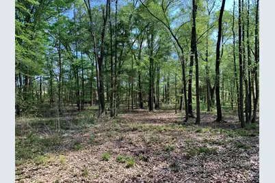 4280 Cr 3703, Athens, TX 75752 - Photo 39