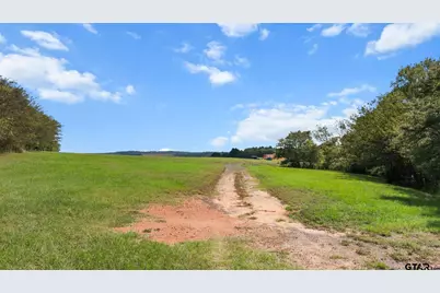 16622 Caeli Heights, Winona, TX 75792 - Photo 5