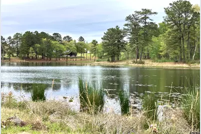 Lot 64 White Oak Creek Ranch, Big Sandy, TX 75755 - Photo 5