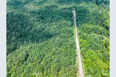 229 Pr 3900 Rd, Gilmer, TX 75644 - Photo 7