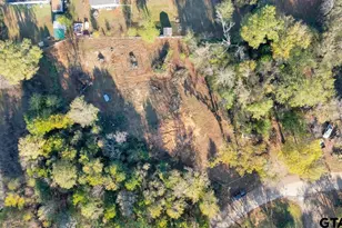 1141 Rollingwood Dr, Bullard, TX 75757 - Photo 9