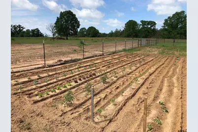 1026B An County Road 2218, Tennessee Colony, TX 75861 - Photo 35