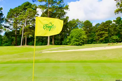 128 N Eagles Peak Dr., Bullard, TX 75757 - Photo 23