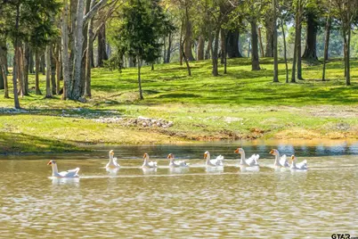 13006 Fm 757, Winona, TX 75792 - Photo 35