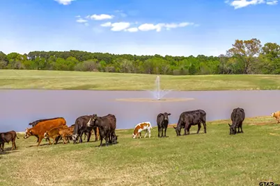 13006 Fm 757, Winona, TX 75792 - Photo 39