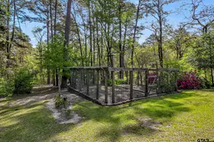 17325 Cr 134- Beddingfield, Flint, TX 75762 - Photo 39