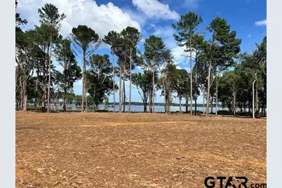 Lot 72A Oak River, Frankston, TX 75763 - Photo 21