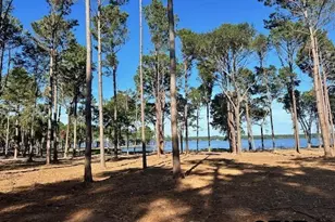 Lot 72A Oak River, Frankston, TX 75763 - Photo 17