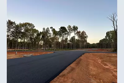 Lot 72A Oak River, Frankston, TX 75763 - Photo 3