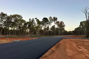 Lot 72A Oak River, Frankston, TX 75763 - Photo 3