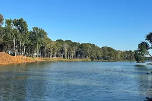 Lot 104 Oak River, Frankston, TX 75763 - Photo 1