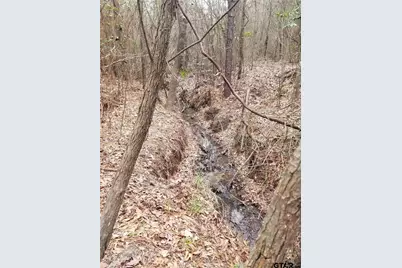 1140 Lot 2 Cr-3412, Chandler, TX 75758 - Photo 11