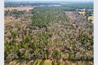 12076 Fm 2274, Troup, TX 75789 - Photo 7