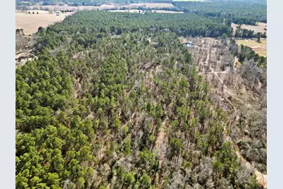 12076 Fm 2274, Troup, TX 75789 - Photo 9