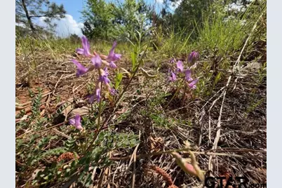 1026C An County Road 2218, Tennessee Colony, TX 75861 - Photo 23