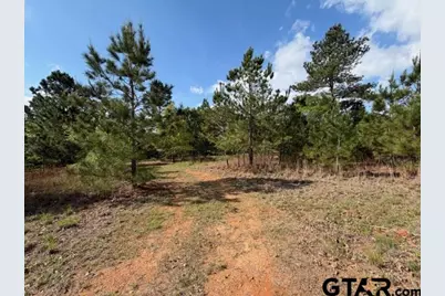 1026C An County Road 2218, Tennessee Colony, TX 75861 - Photo 21