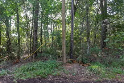 Tbd Cr 1237, Tyler, TX 75703 - Photo 1