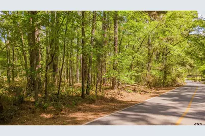 1723 Pineview Lane, Hideaway, TX 75771 - Photo 25