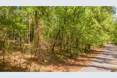 1723 Pineview Lane, Hideaway, TX 75771 - Photo 27