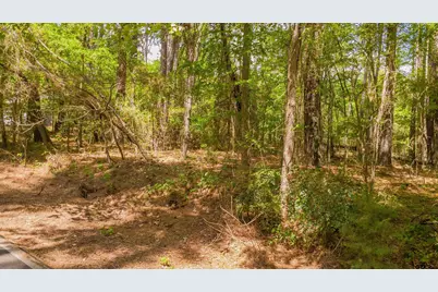 1723 Pineview Lane, Hideaway, TX 75771 - Photo 17