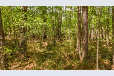 1723 Pineview Lane, Hideaway, TX 75771 - Photo 11