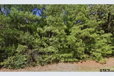 431 H Martin, V Acres, Marshall, TX 75672 - Photo 9