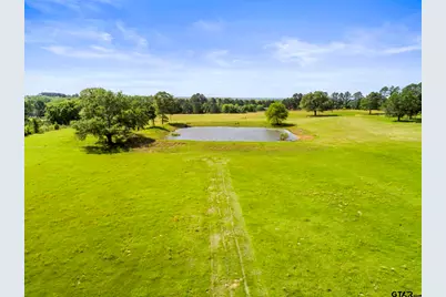 000 Fm 779, Alba, TX 75410 - Photo 3