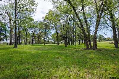 411 Vz County Road 4313, Ben Wheeler, TX 75754 - Photo 25
