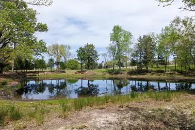 411 Vz County Road 4313, Ben Wheeler, TX 75754 - Photo 37