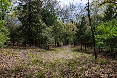 411 Vz County Road 4313, Ben Wheeler, TX 75754 - Photo 33