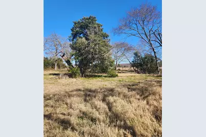 Tbd Cr 1405 Lot 13, Athens, TX 75751 - Photo 11