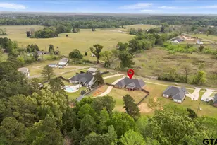 11179 Cr 2183, Whitehouse, TX 75791 - Photo 29