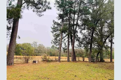 431 Cr 2715, Mt Pleasant, TX 75455 - Photo 3
