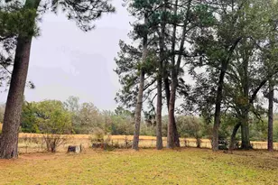 431 Cr 2715, Mt Pleasant, TX 75455 - Photo 3